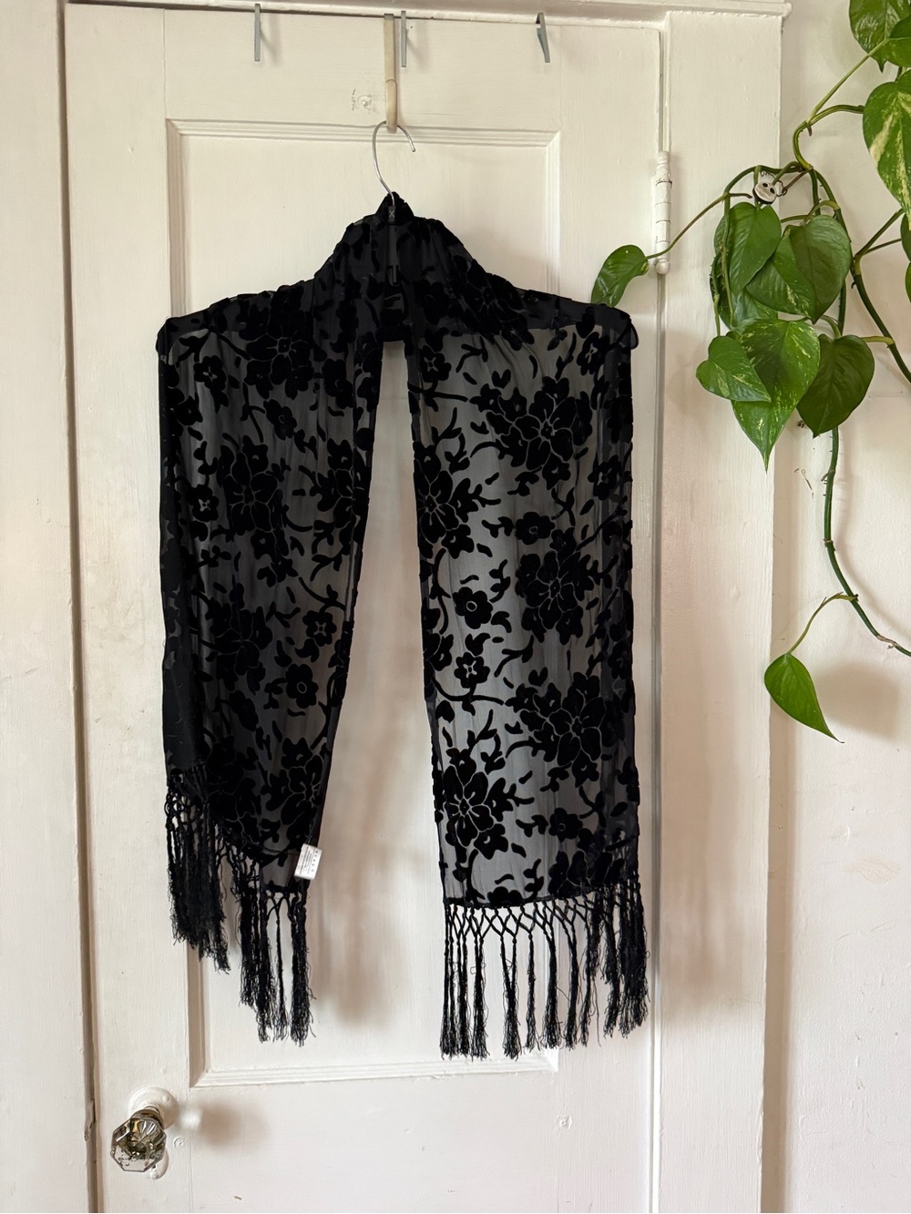 Echo Black Sheer Velvet Burnout Scarf with Fringe